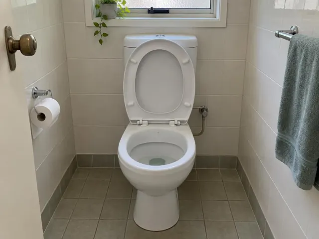 Clean white toilet in a tiled bathroom with a towel rail and toilet paper holder in Parramatta